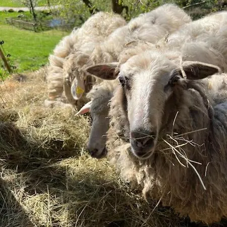 Auszeit Am Kreisbach *