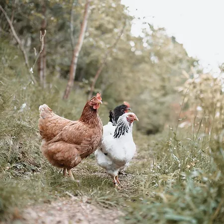 Landhuis Auszeit Am Kreisbach