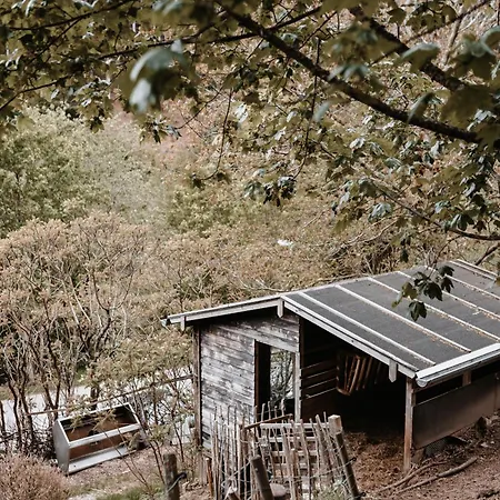 Auszeit Am Kreisbach Landhuis Triberg im Schwarzwald