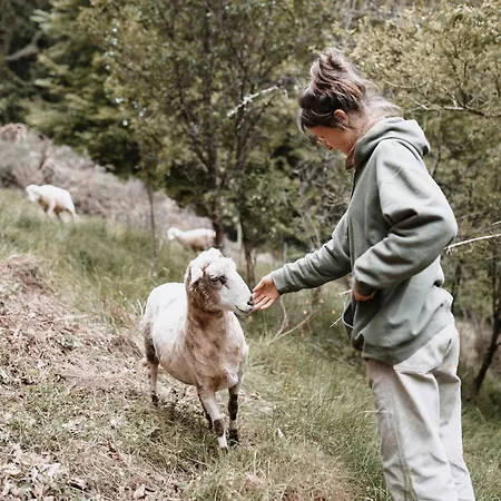 Auszeit Am Kreisbach * Triberg im Schwarzwald
